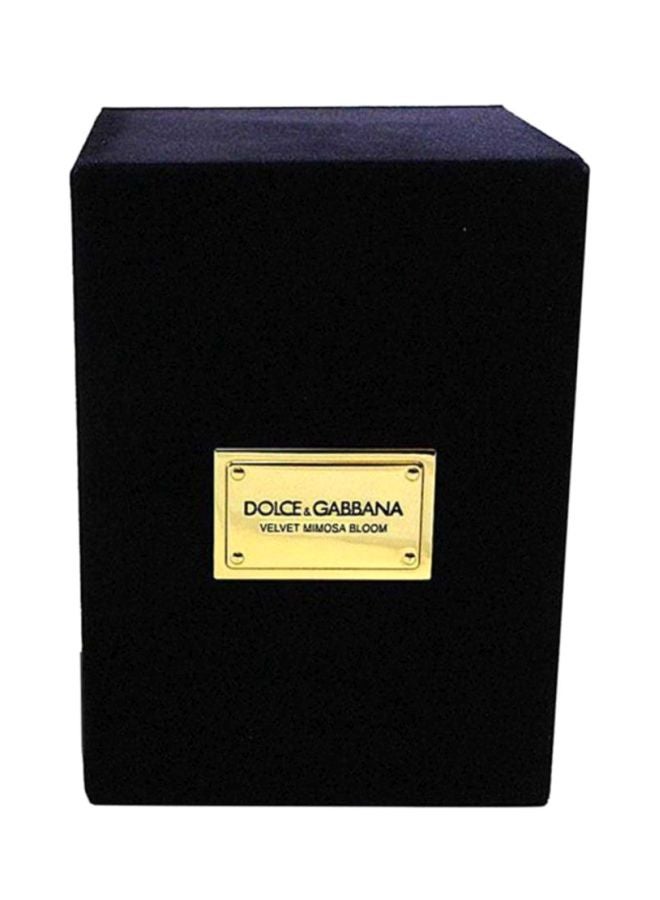 Dolce & Gabbana - Velvet Mimosa Bloom Eau de Parfum Spray 50ml - Image 1