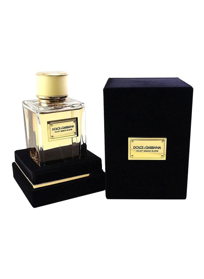 Dolce & Gabbana - Velvet Mimosa Bloom Eau de Parfum Spray 50ml - Image 1