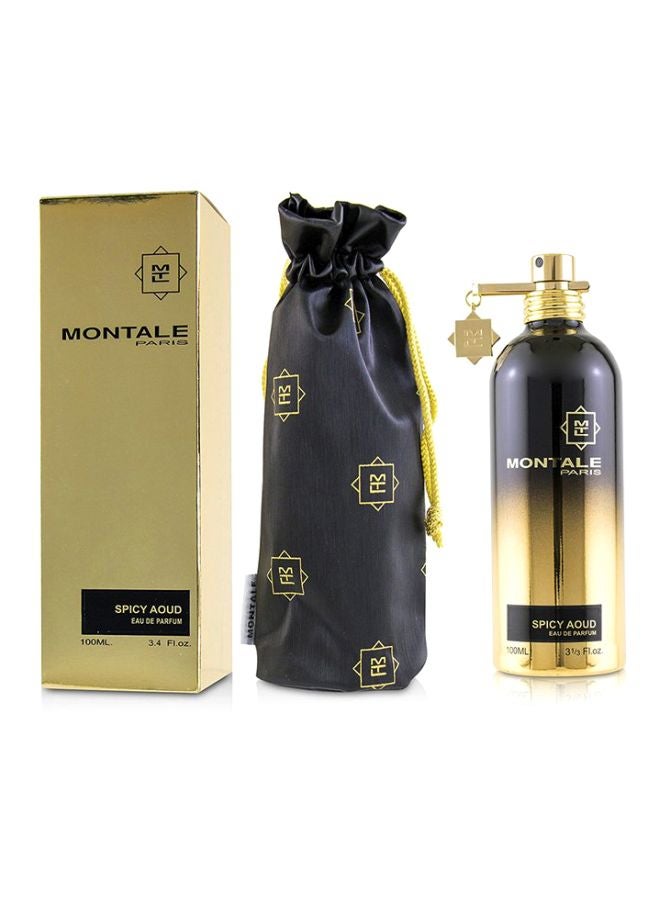MONTALE Spicy Aoud EDP 100ml - Image 2