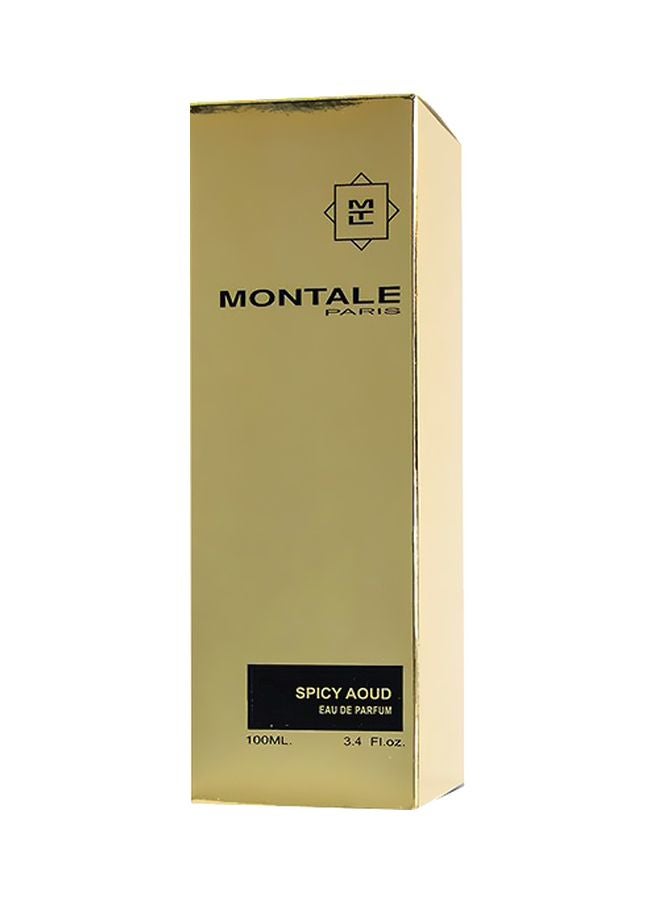 MONTALE Spicy Aoud EDP 100ml - Image 3