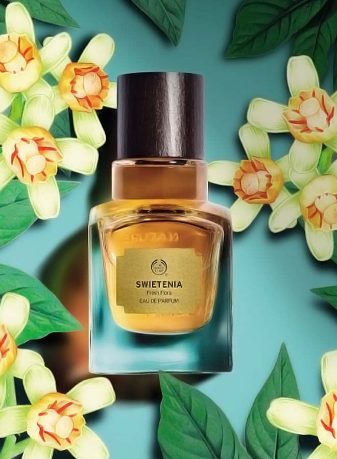 THE BODY SHOP - Swietenia EDP 50ml - Image 1