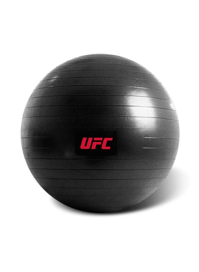 Ufc - Fitball 75cm - Image 1