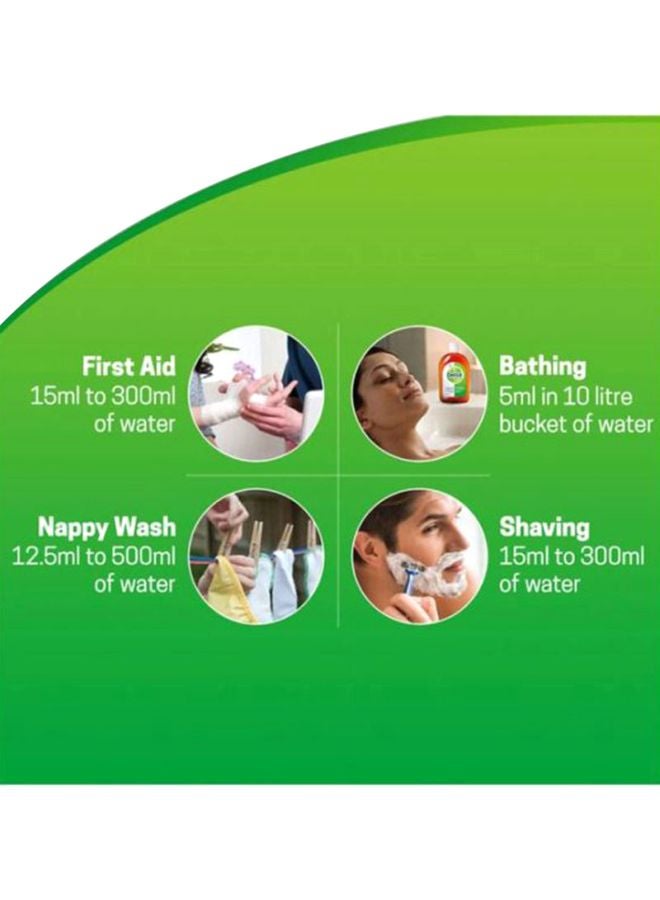 ديتول سائل مطهر ومعقم 250ملليلتر - Image 4