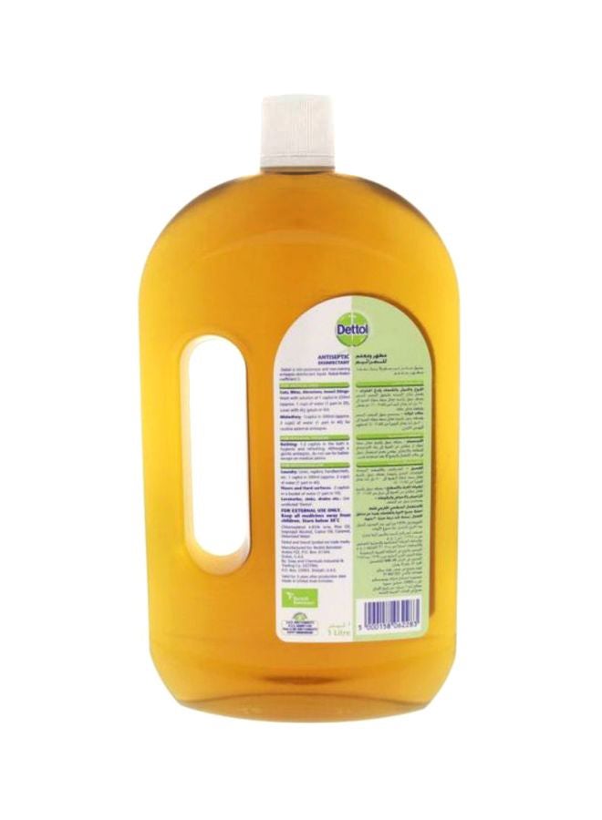 Dettol Original Antiseptic Liquid 1Liters  - Image 2