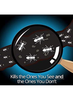 Henkel Combat Indoor And Outdoor Ant Killing Gel 27grams  - Image 4