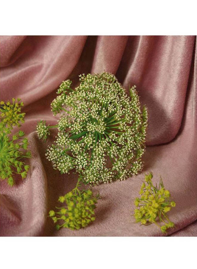 GUCCI Bloom Aqua Di Fiori EDT 50ml - Image 5