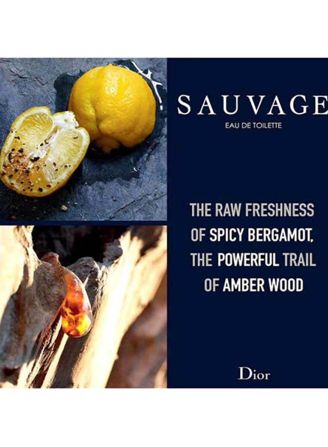 Sauvage EDT 60ml - v1614175599/N11074933A_5