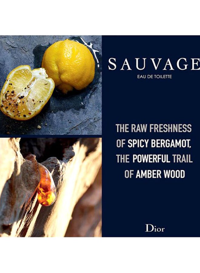 Dior - Sauvage EDT 60ml - Image 1