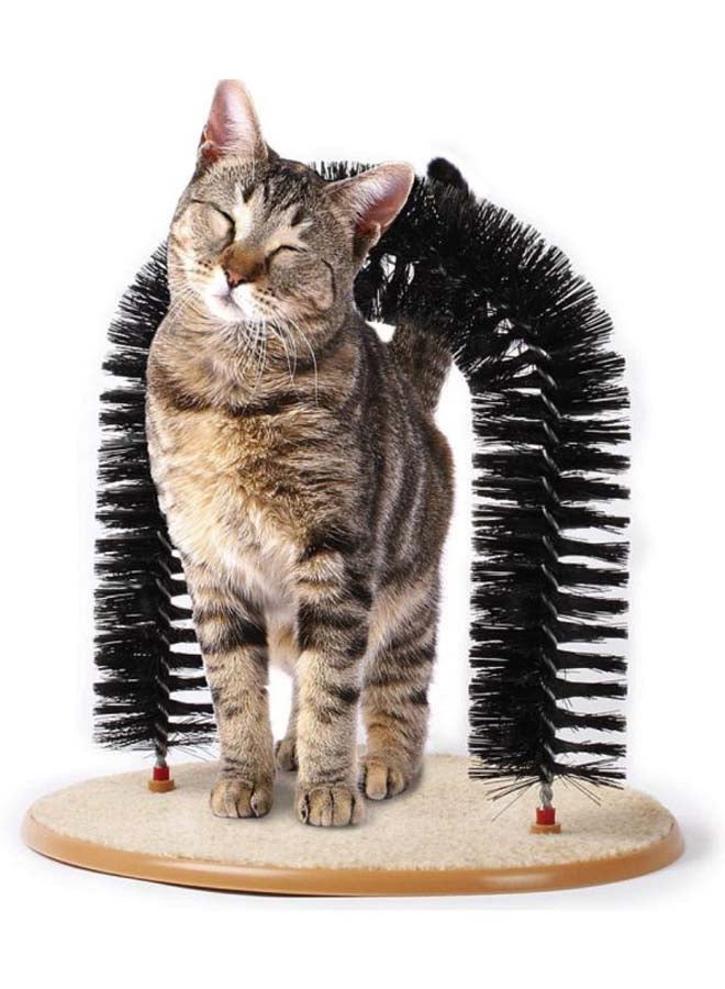 بيوينتي لعبة عملية مناسبة لزحف وخربشة القطط أسود / بيج - Image 5