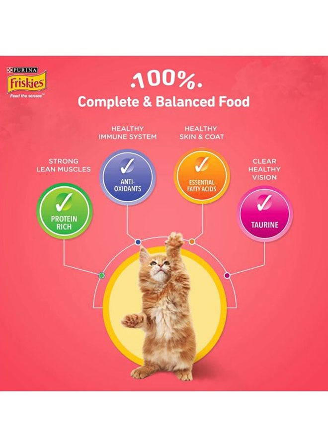 طعام بورينا للقطط الصغيرة 1كيلوجرام - Image 5