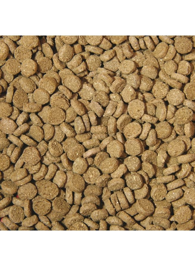 جي بي إل طعام نوفو للأسماك للقشريات وسرطان البحر أصفر/ أزرق/ أسود 100ملليلتر - Image 3