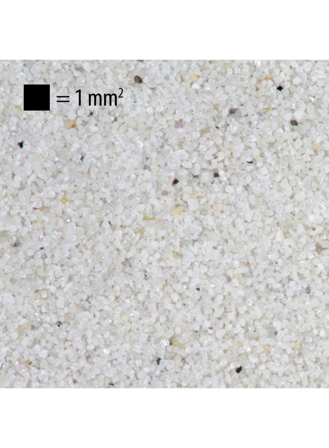 جي بي إل حصى سانسيبار النهرية الزخرفية لأحواض السمك أبيض - Image 2