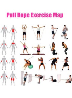 Kanteen Store Multifunctional Pull Rope Elastic Rope Crossfit Training Equipment Rubber Band Belt Gym Equipment Yoga Pilates Resistance Rope 120cm  - Image 2