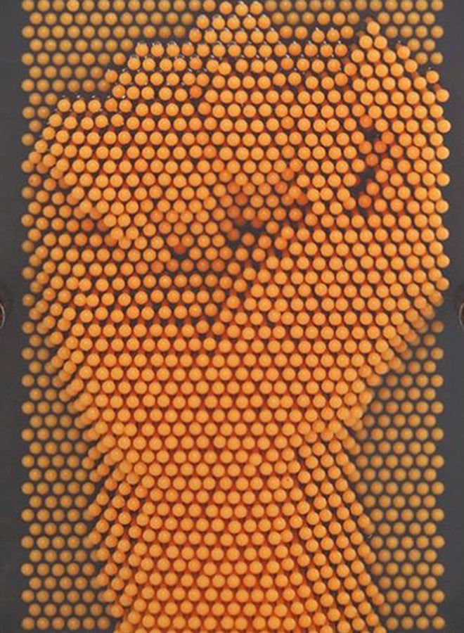 Beauenty 3 Dimensional Pin Sculpture Mwz-Z-088 Black/Orange  - Image 2