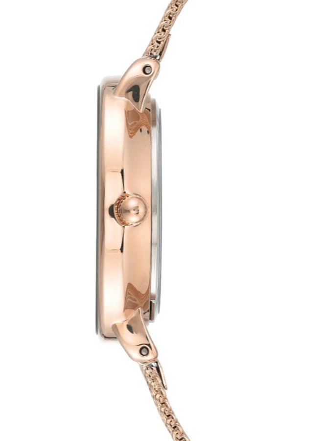 ANNE KLEIN - Women's Trend Water Resistance Stainless Steel Analog Watch AK3686NVRG - Image 1