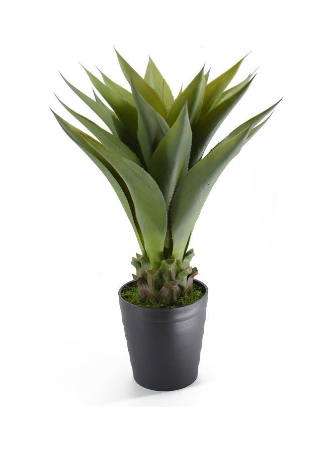 DRAMA HOME Aloe Tree With Pot Green/Black  - Image 3