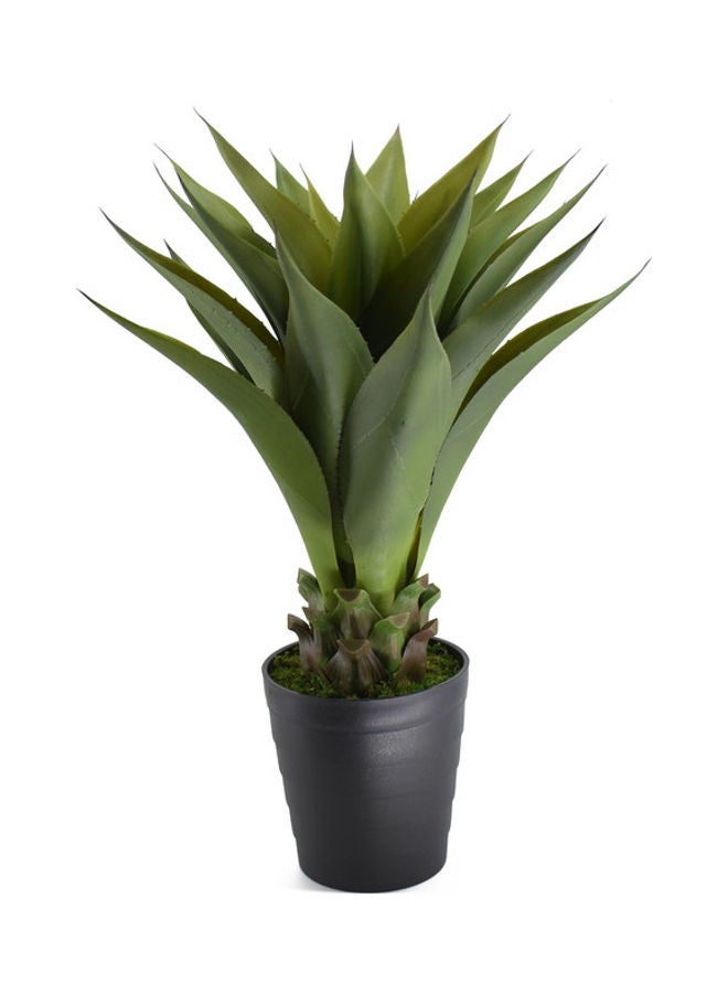 DRAMA HOME Aloe Tree With Pot Green/Black 