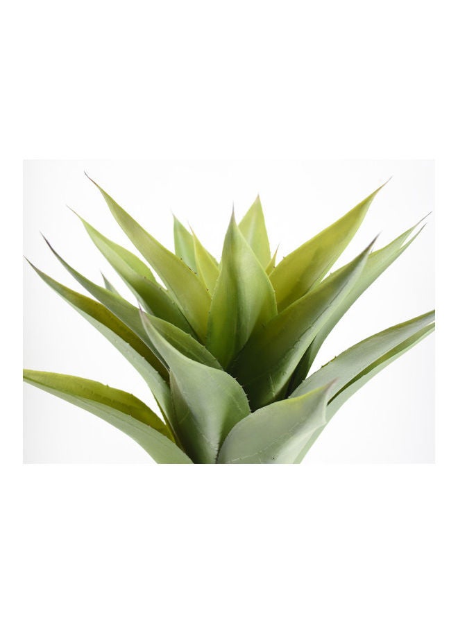 DRAMA HOME Aloe Tree With Pot Green/Black  - Image 2