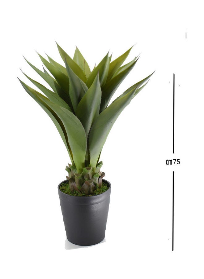 Aloe Tree With Pot Green/Black - v1614256898/N44751911A_4