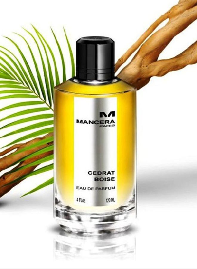 مانسيرا ماء عطر سيدرات بويز 120ملليلتر  - Image 5
