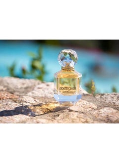 عطر باراديسو EDP 75ملليلتر - v1614268262/N11202242A_6