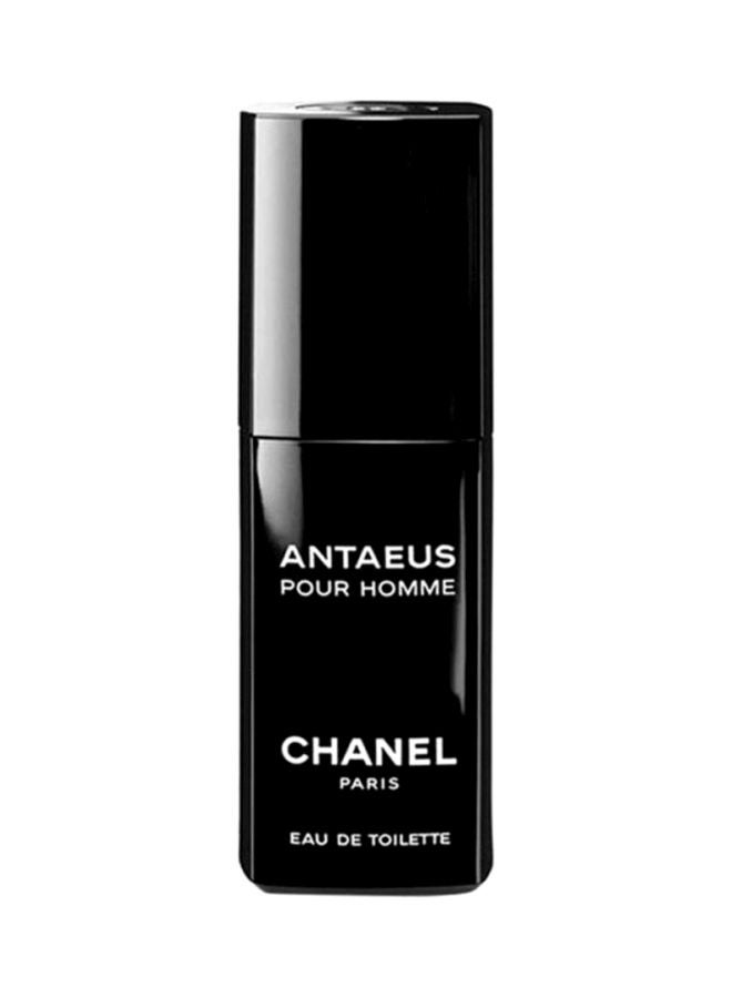 Chanel Antaeus edt 100 ml  Scentvintage rare perfume