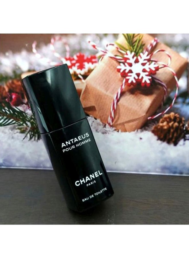 CHANEL Antaeus Pour Homme EDT 100ml UAE | Dubai, Abu Dhabi