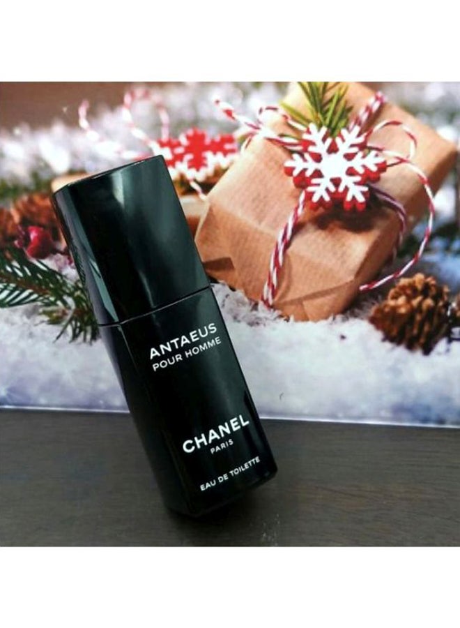 CHANEL - Antaeus Pour Homme EDT 100ml - Image 1