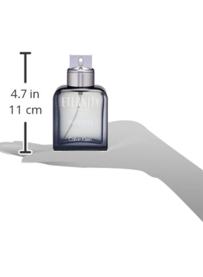 CALVIN KLEIN - Eternity Intense EDT Spray 100ml - Image 1