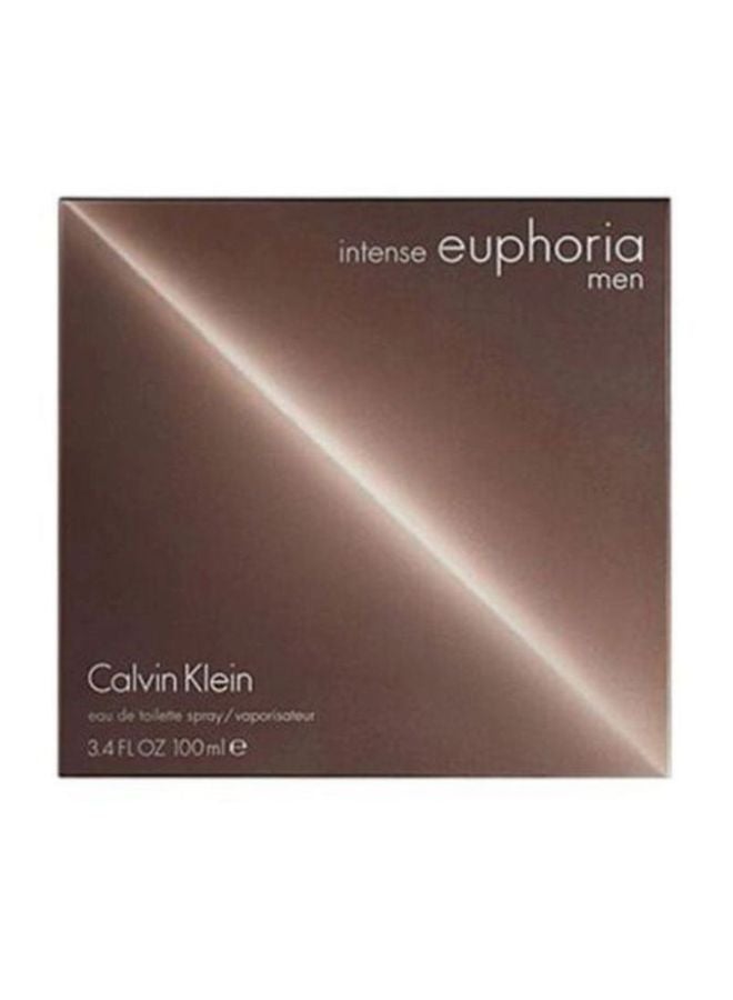 CALVIN KLEIN - Euphoria Intense EDT 100ml - Image 1