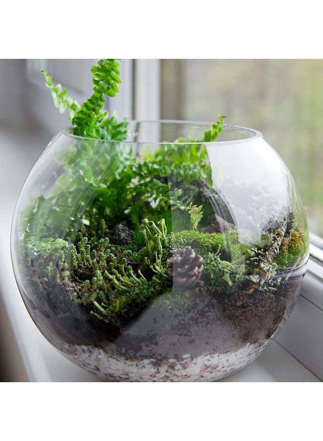 Round Bowl Shaped Vase Clear 8x8cm - Image 3