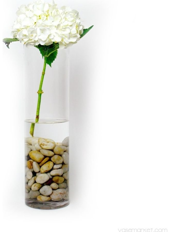 مزهرية اسطوانية الشكل شفاف 8x30سم - Image 3