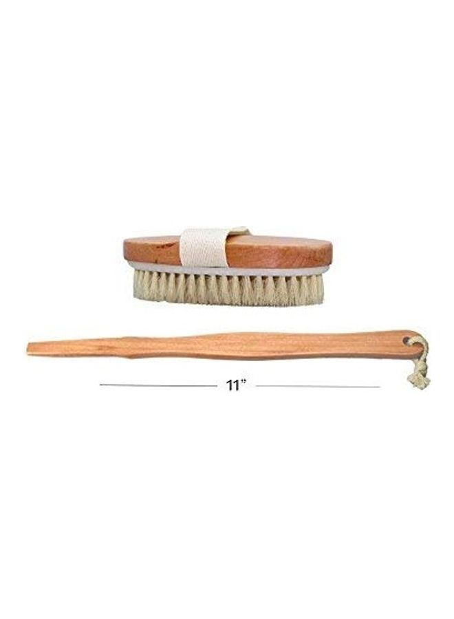 Dry Skin Body Brush Brown 16inch - v1614445114/N44778180A_4