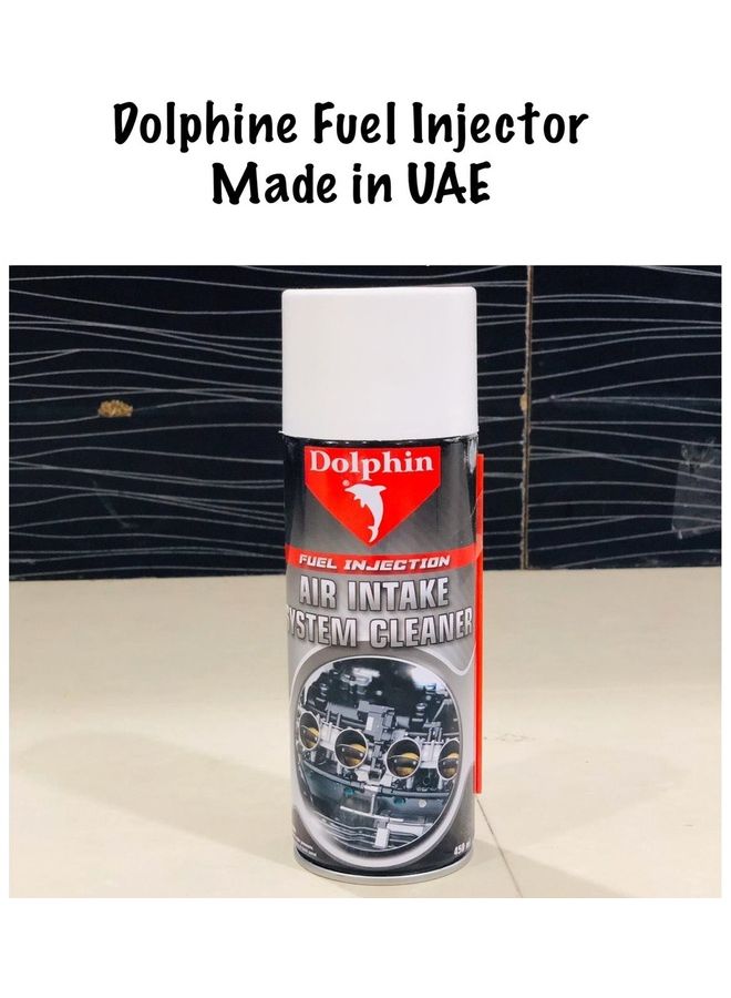 Dolphin Fuel Injection Air-Intake System Cleaner - Image 2