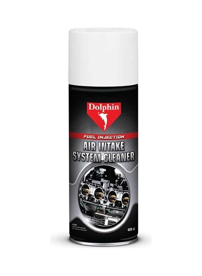 Dolphin Fuel Injection Air-Intake System Cleaner - Image 1