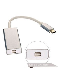 C Type To Mini Dp Silver