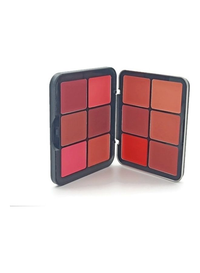 Nitrq Beauty New HD Ultra 12 Colors Blusher Powder Red - Image 1