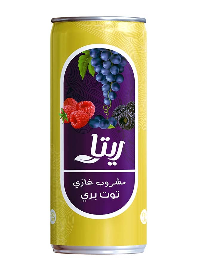 Raspberry Sparkling Drink 240ml