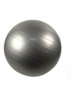 Kanteen Store Yoga And Gym Ball Grey 65cm  - Image 1