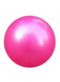 Kanteen Store Rose  Fitness Exercise Gym Balance Ball Yoga Aerobic Maternity Pump  Antirust 65cm  - Image 1