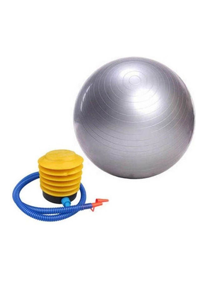 Yoga Ball Gym Balance Stability Fitness Eercise With Air Pump Home Workout Equipment [Awd] 65cm - v1614691331/N44860782A_1