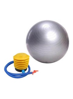 Anti Burst Gym Exercise Ball Swiss Yoga Fitness Core Pregnancy Birthing Ball 65cm - v1614700573/N44859860A_1