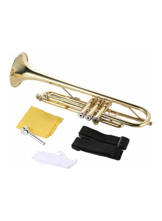 Flat Exquisite Trumpet Kit - v1614700793/N24974872A_2