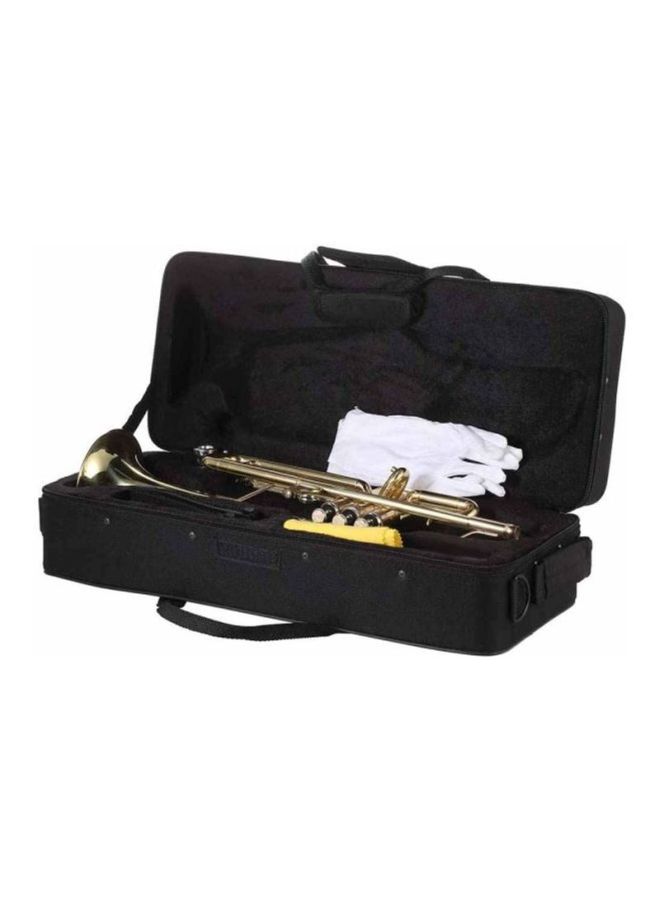 Flat Exquisite Trumpet Kit - v1614700794/N24974872A_6