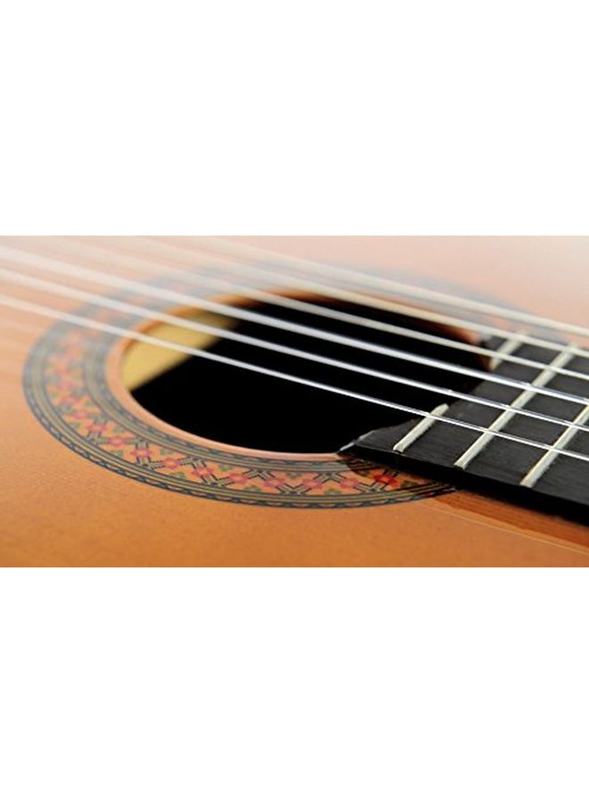 YAMAHA - Classical Electro Acoustic Guitar - Image 1