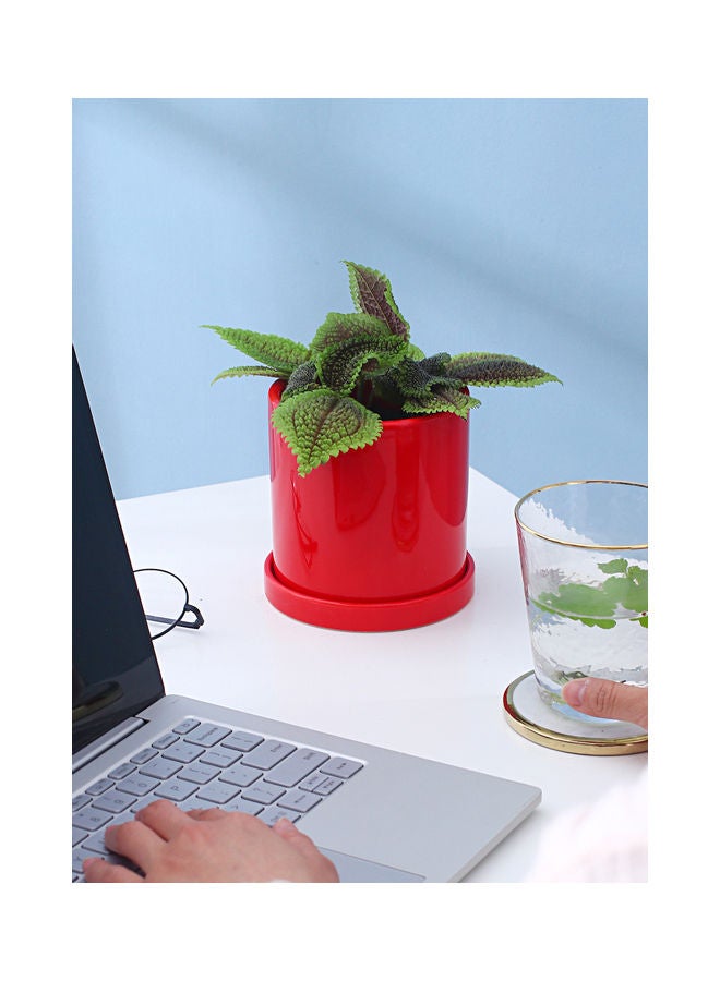 شور قطعتان من أواني الزهور الخزفية الأسطوانية على سطح الطاولة، وعاء نباتات بسيط وحديث مع صينية لشرفة المنزل، وعرض النافذة، وزارع الحديقة باللون الأحمر 11x11x11 سم - Image 4