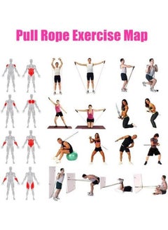 Kanteen Store Multifunctional Pull Rope Elastic Crossfit Training Equipment Rubber Band Belt Gym Equipment Yoga Pilates Resistance  - Image 3