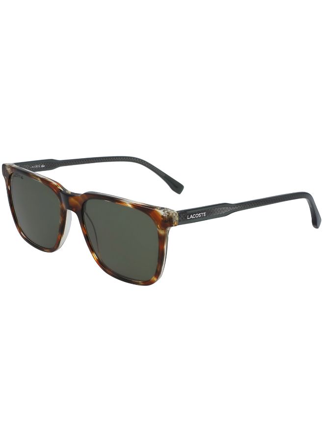 LACOSTE Men's Full Rimmed Modified Rectangular Frame Sunglasses - Lens Size: 54 mm