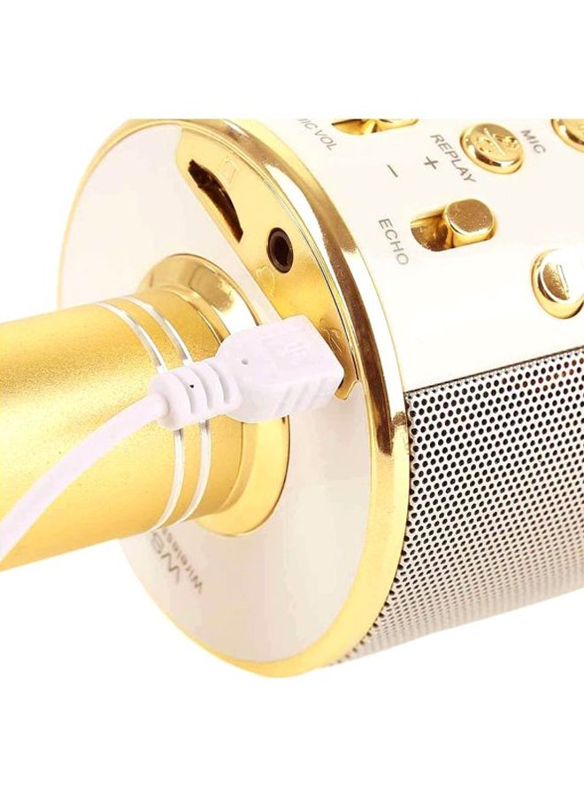 WSTER - Bluetooth Karaoke Microphone WS-858 Gold/White - Image 1