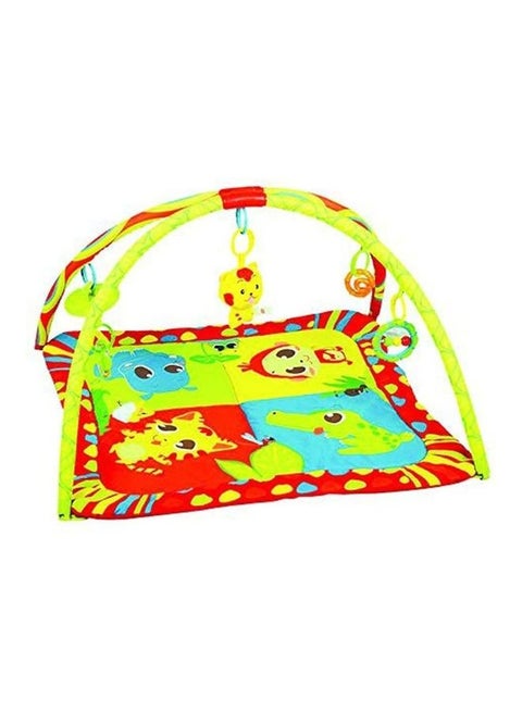 Safari Paradise Play Gym